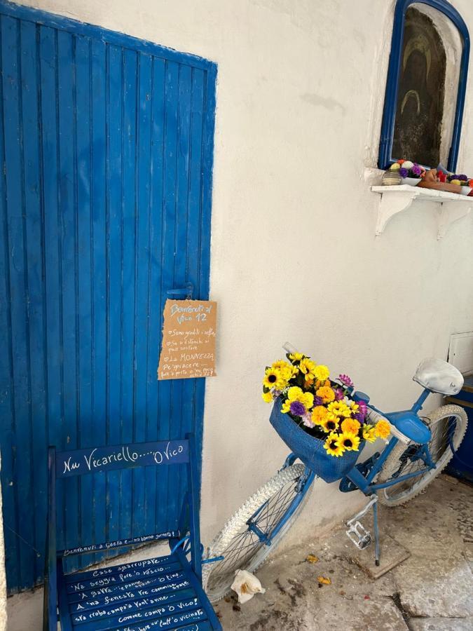 Holiday home Blue *